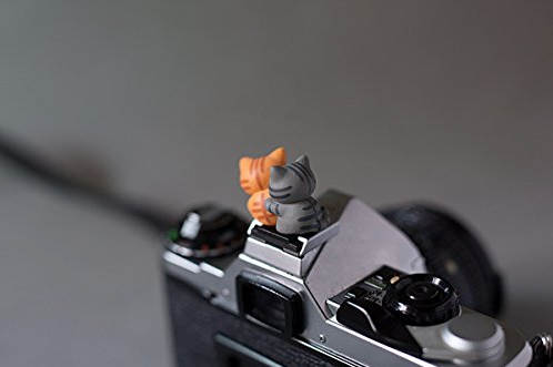 ホットシューカバーとは おしゃれで可愛いシューアクセサリーでカメラにアクセントはいかが 一眼フォト