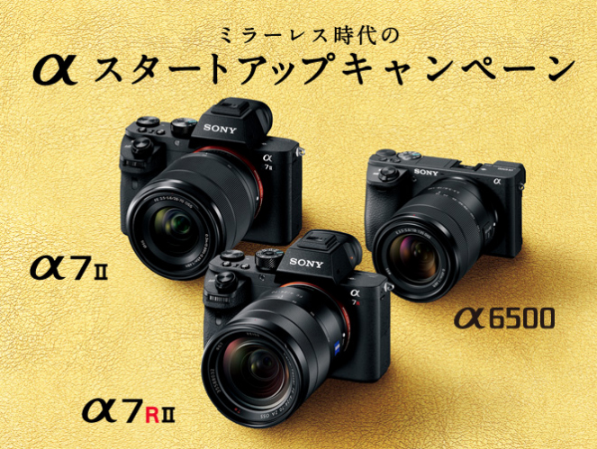 SONY α7Ⅱ (6/23まで値引き中) せまかっ
