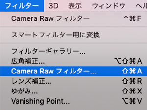 Camera-Rawフィルター