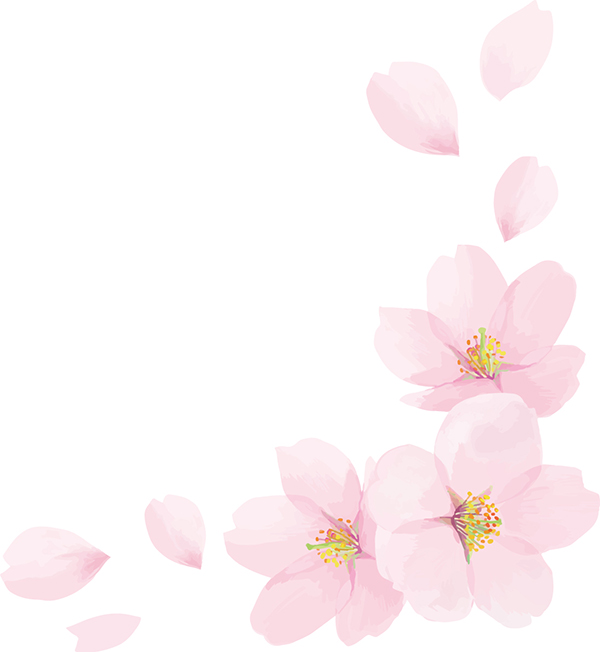 桜の花びら元画像