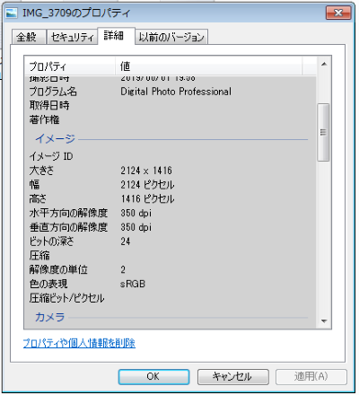 画像管理ソフトは無料でもタグなどおすすめ機能がたくさん フリーでも使えるソフトを５選 一眼フォト