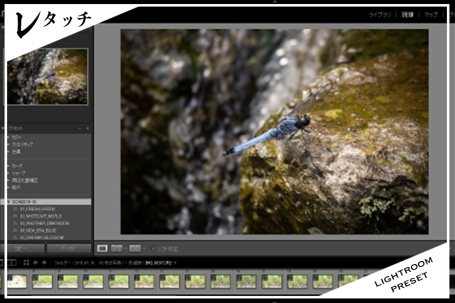 Lightroomプリセット作り方や保存 管理方法 独自のプリセットで差をつけろ 一眼フォト