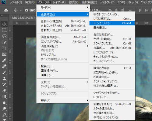 Photoshop Camera Rawフィルターの使い方 基本補正だけでも一気にレベルアップするかも 一眼フォト