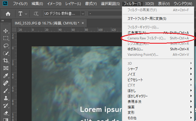 Photoshop Camera Rawフィルターの使い方 基本補正だけでも一気にレベルアップするかも 一眼フォト