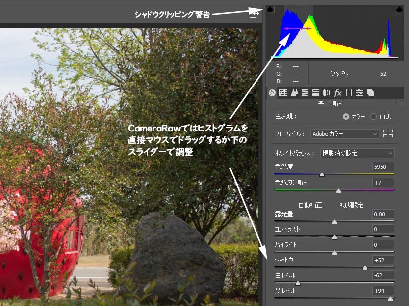 Camera Rawのヒストグラムとトーンカーブの見方 使い方を初心者向けに解説 一眼フォト