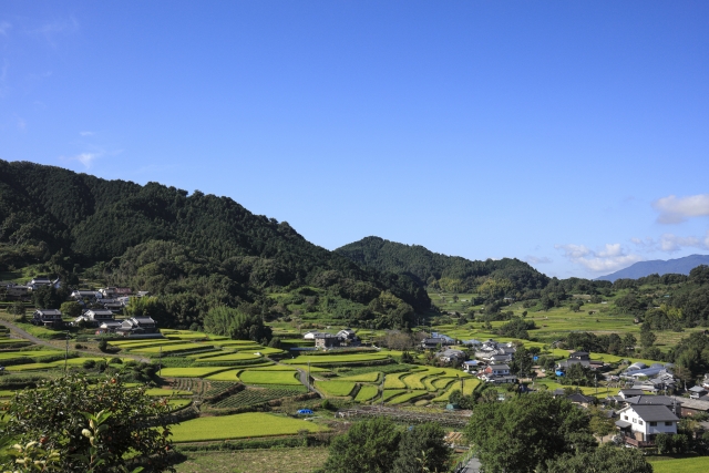 明日香村の棚田