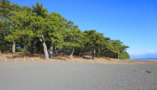 静岡のフォトジェニック撮影ガイド｜富士山を中心にした絶景スポット巡り