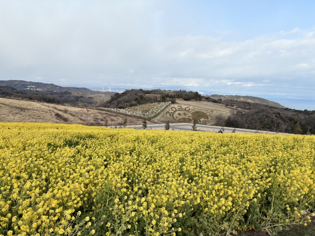 淡路島の花さじき
