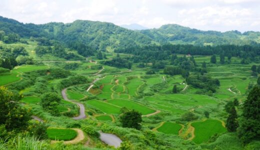 新潟の撮影スポット完全ガイド｜棚田から星峠まで日本の原風景を撮る