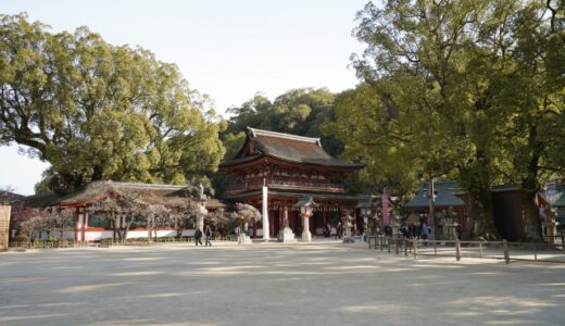 福岡のフォトスポット完全ガイド｜都会と自然が融合するカメラ旅