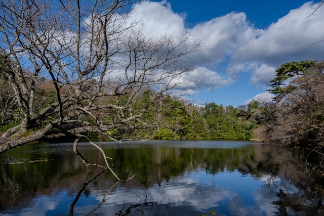 白神山地・十二湖